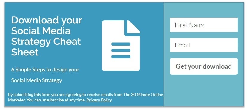 social media cheatsheet optin form Example of optin form