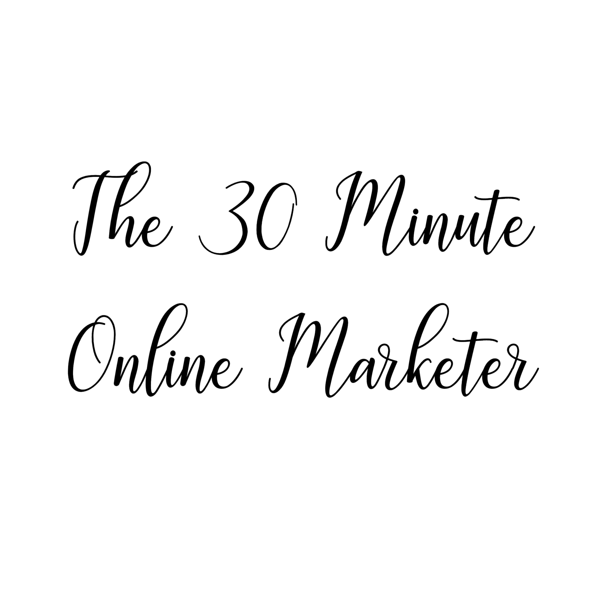 The 30 minute online marketer word logo