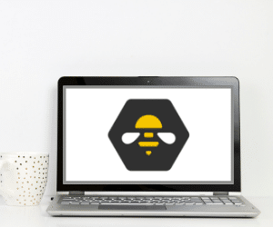 SocialBee